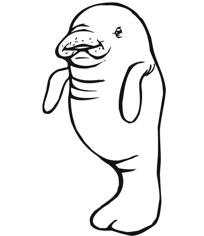 Baby Manatee Coloring Page